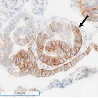 9888��˹ά��˹(�ɷ�)���޹�˾-�ٷ���վ