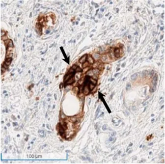 9888��˹ά��˹(�ɷ�)���޹�˾-�ٷ���վ