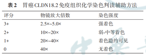 9888À˹ά¼Ó˹(¹É·Ý)ÓÐÏÞ¹«Ë¾-¹Ù·½ÍøÕ¾