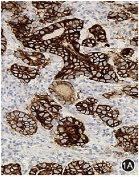 9888��˹ά��˹(�ɷ�)���޹�˾-�ٷ���վ