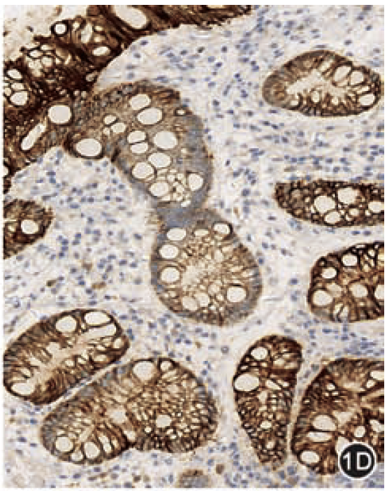 9888À˹ά¼Ó˹(¹É·Ý)ÓÐÏÞ¹«Ë¾-¹Ù·½ÍøÕ¾