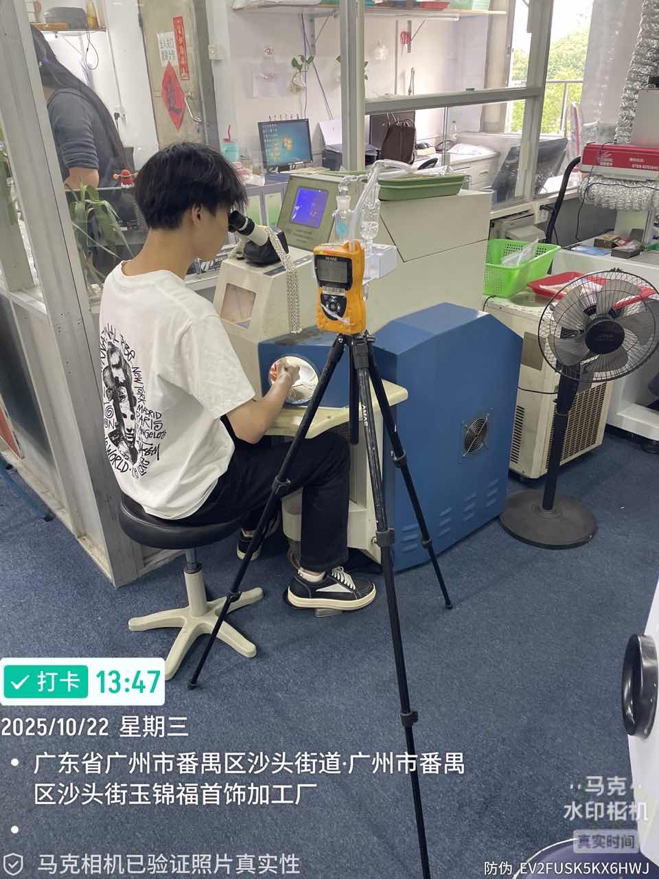 9888À˹ά¼Ó˹(¹É·Ý)ÓÐÏÞ¹«Ë¾-¹Ù·½ÍøÕ¾