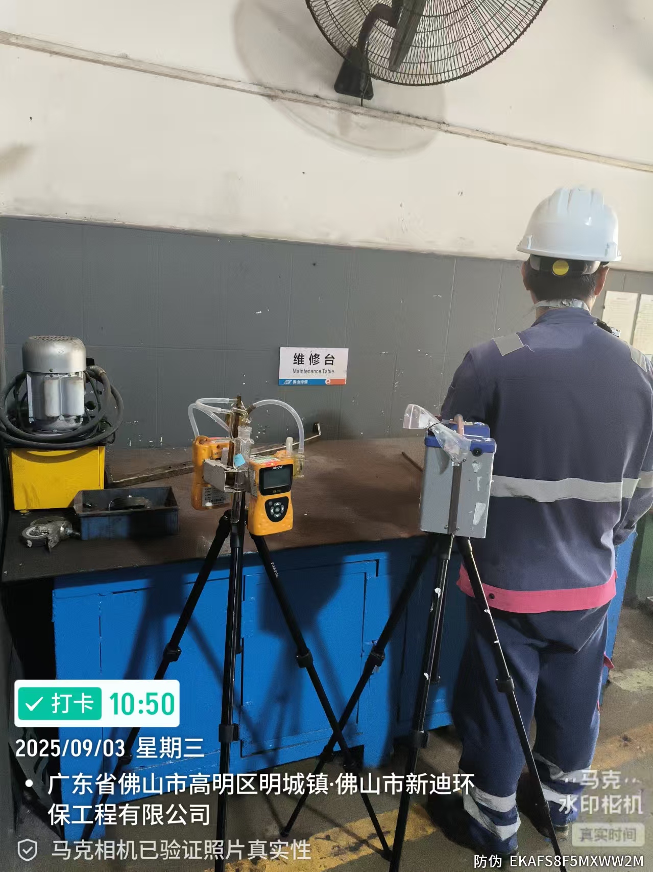 9888À˹ά¼Ó˹(¹É·Ý)ÓÐÏÞ¹«Ë¾-¹Ù·½ÍøÕ¾