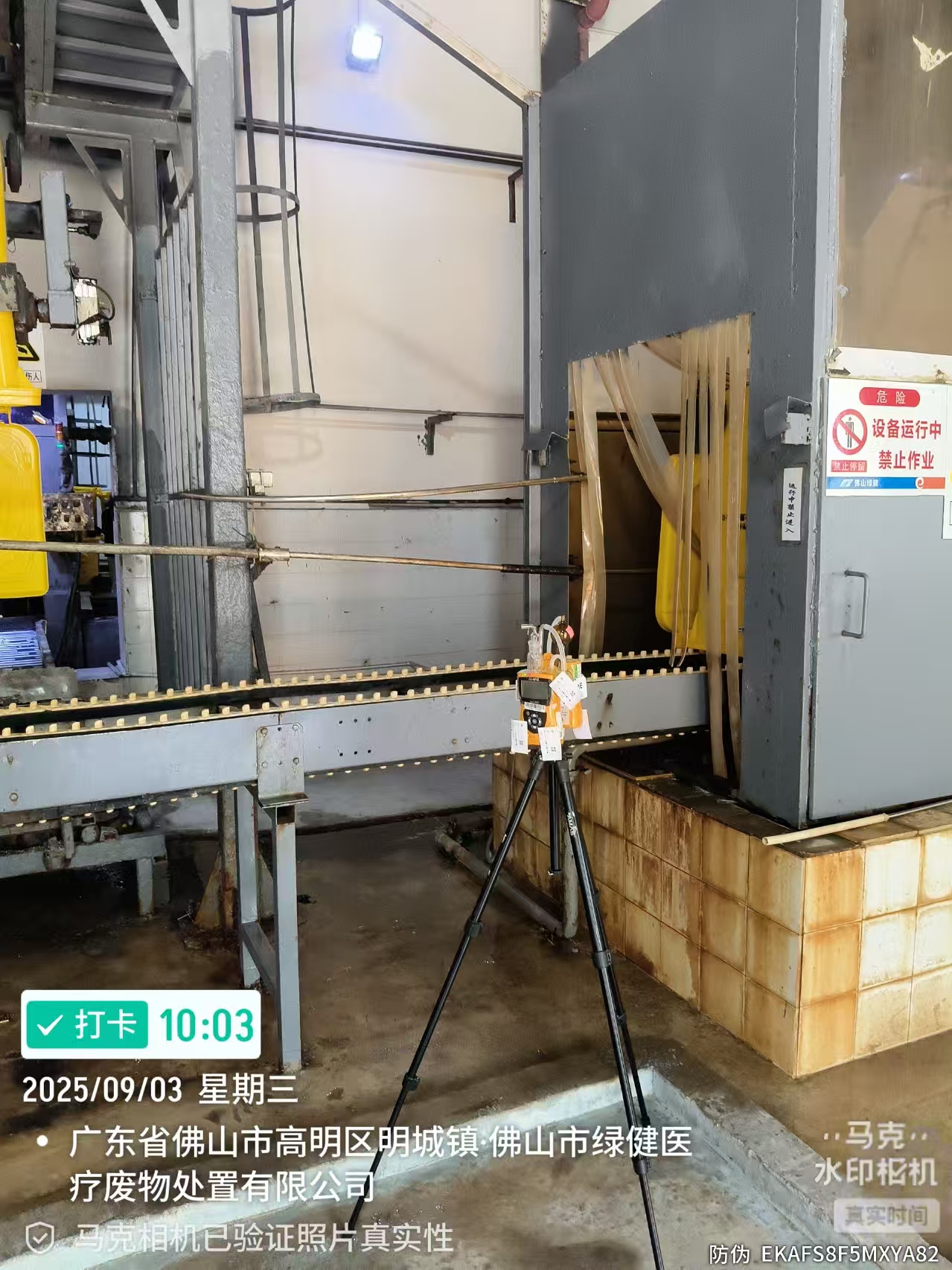 9888À˹ά¼Ó˹(¹É·Ý)ÓÐÏÞ¹«Ë¾-¹Ù·½ÍøÕ¾