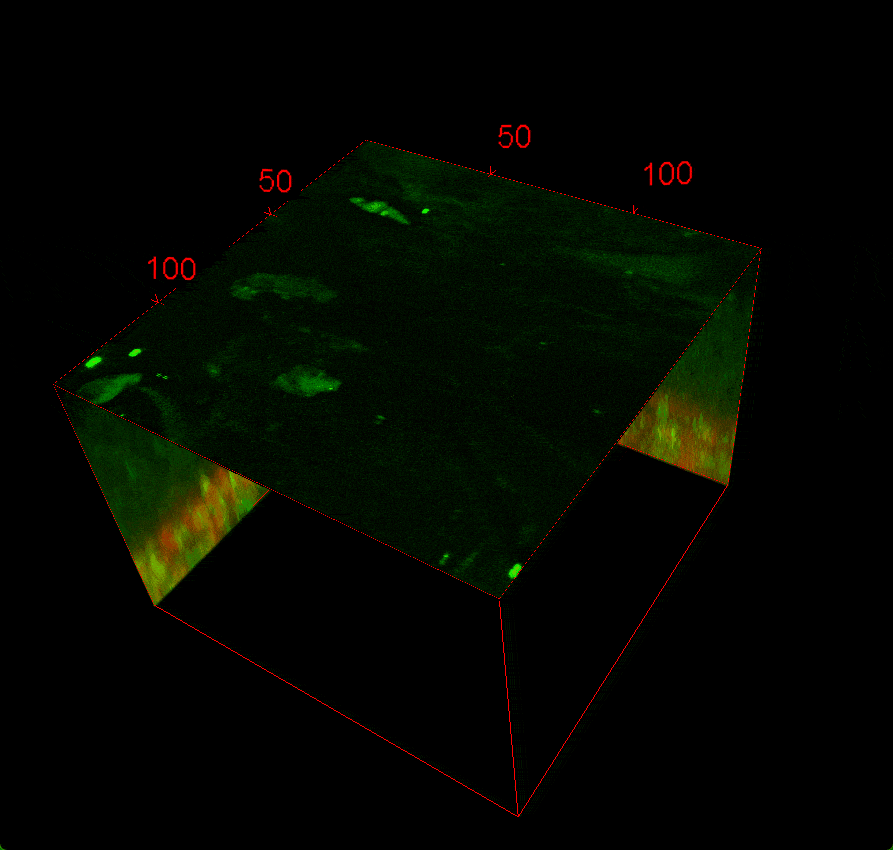 9888��˹ά��˹(�ɷ�)���޹�˾-�ٷ���վ