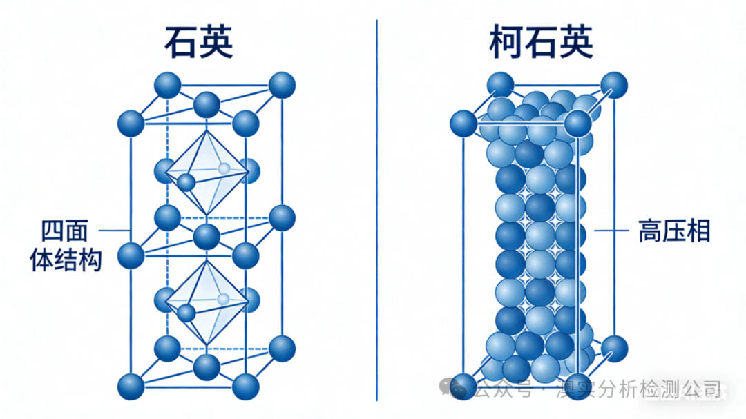 9888À˹ά¼Ó˹(¹É·Ý)ÓÐÏÞ¹«Ë¾-¹Ù·½ÍøÕ¾