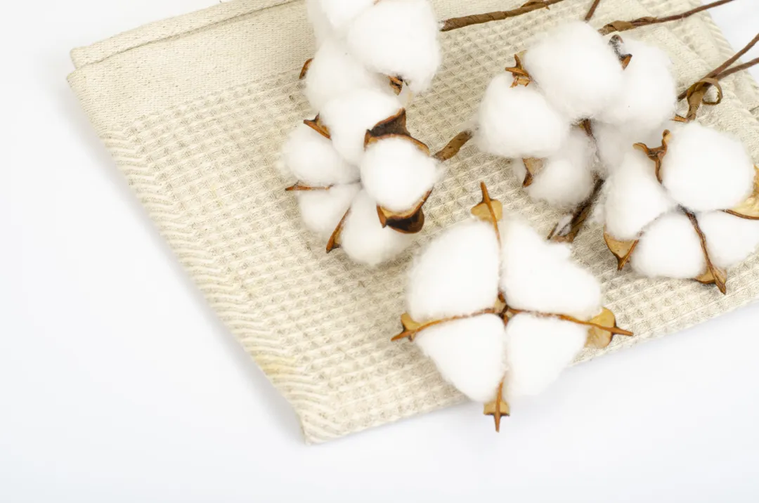 9888��˹ά��˹(�ɷ�)���޹�˾-�ٷ���վ