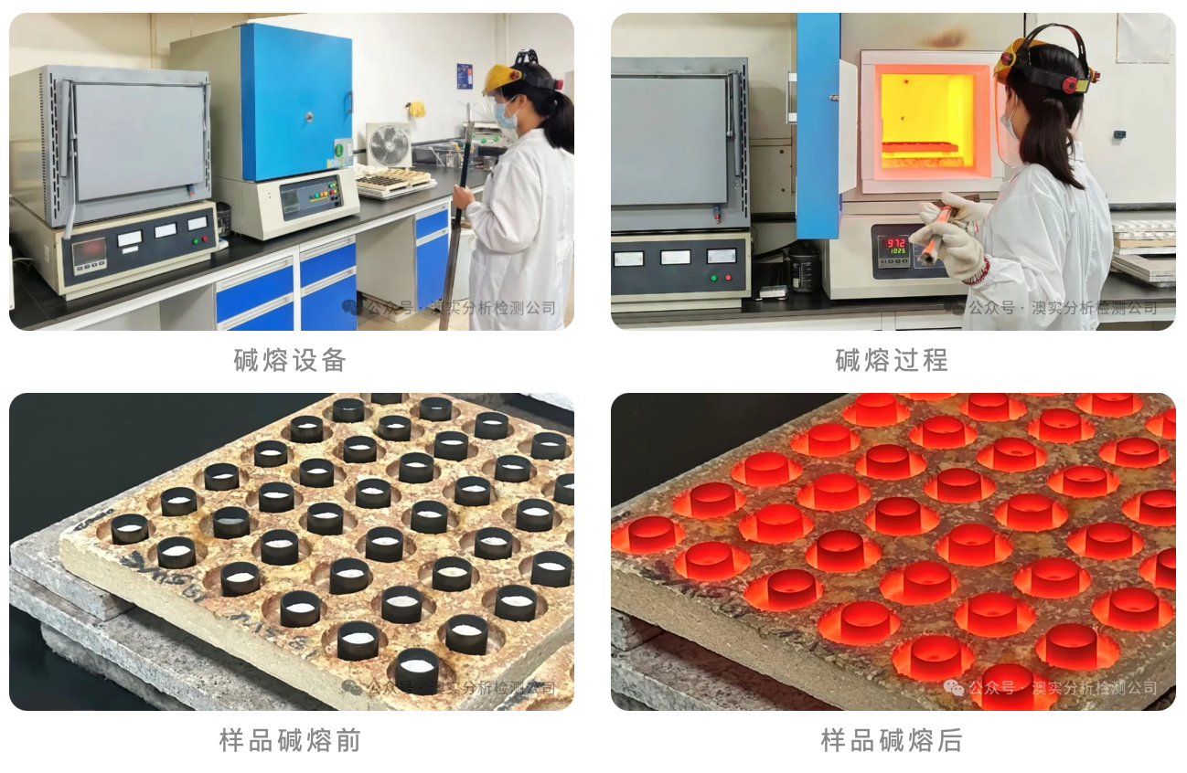 9888À˹ά¼Ó˹(¹É·Ý)ÓÐÏÞ¹«Ë¾-¹Ù·½ÍøÕ¾