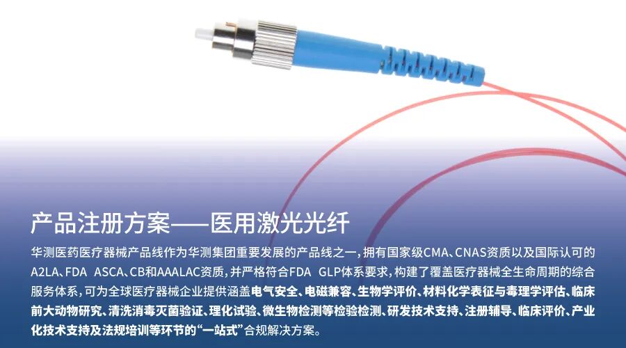 9888À˹ά¼Ó˹(¹É·Ý)ÓÐÏÞ¹«Ë¾-¹Ù·½ÍøÕ¾